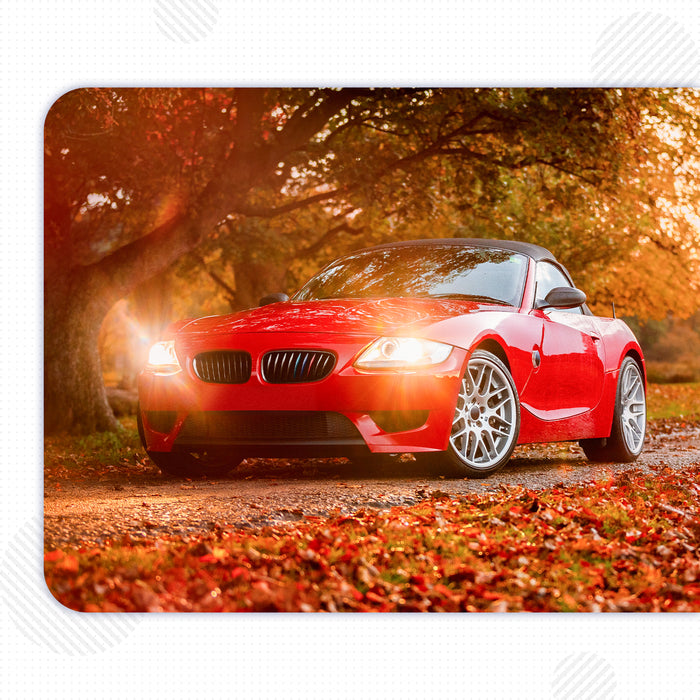 PENSUN Front Kidney Grille Grill Fit For 2003-2008 BMW Z4 E85 E86 Coupe Roadster / Multi Color